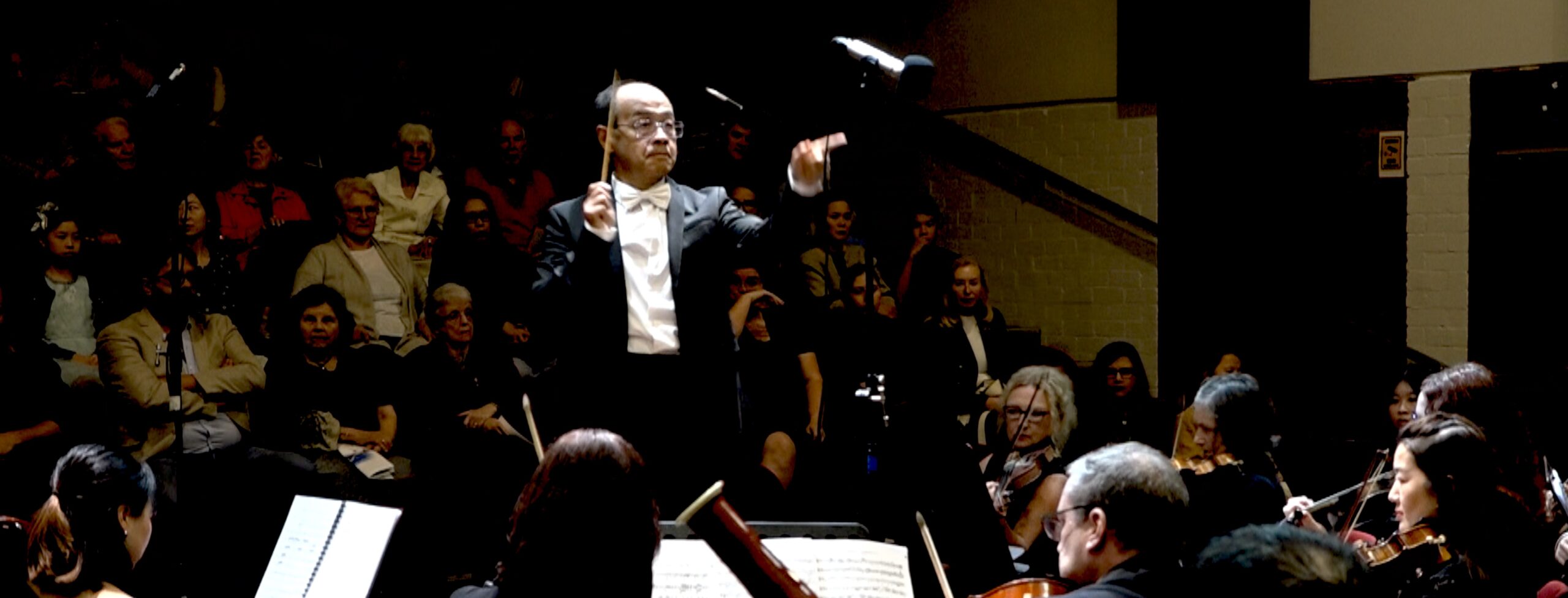 Western Sydney Symphony Orchestra